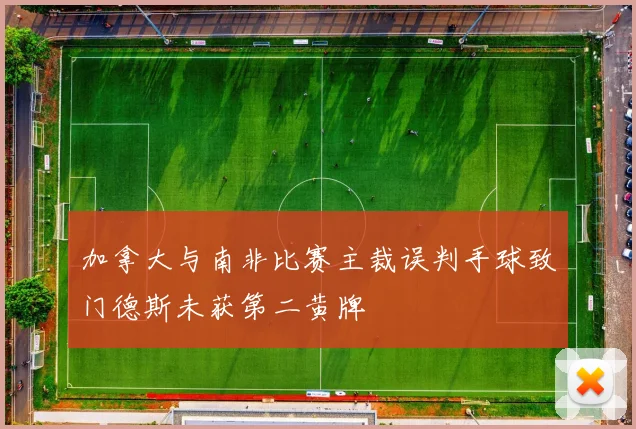 加拿大与南非比赛主裁误判手球致门德斯未获第二黄牌