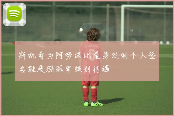 斯凯奇为阿努诺比量身定制个人签名鞋展现冠军级别待遇